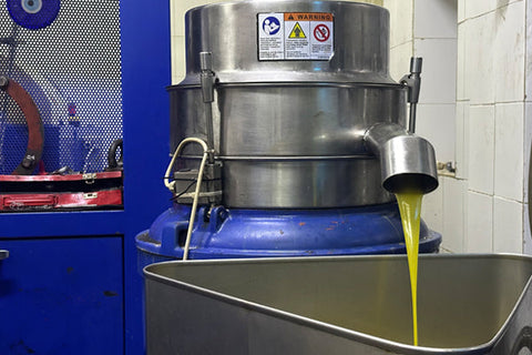Discover the Magic of Freshly Extracted Extra Virgin Olive Oil at Its Peak Season